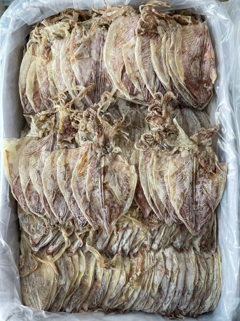 芥末鱿鱼A3A4，精选淡干，酒吧KTV精品酒店专用