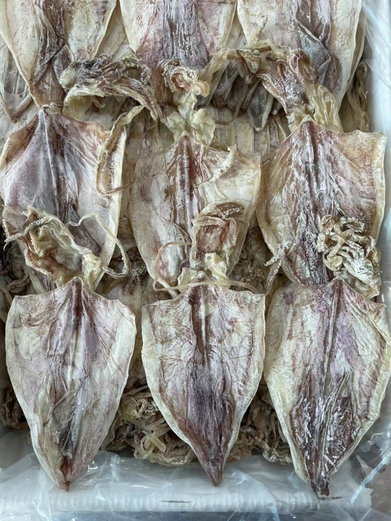 芥末鱿鱼A3A4，精选淡干，酒吧KTV精品酒店专用