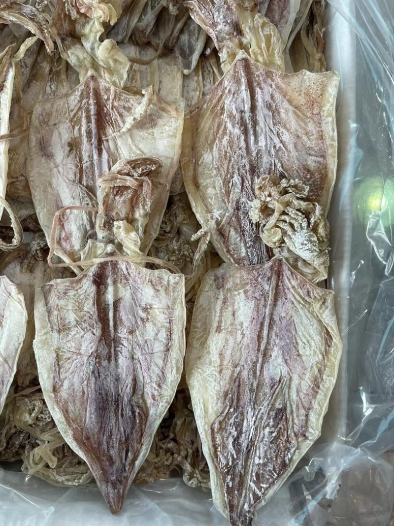 芥末鱿鱼A3A4，精选淡干，酒吧KTV精品酒店专用