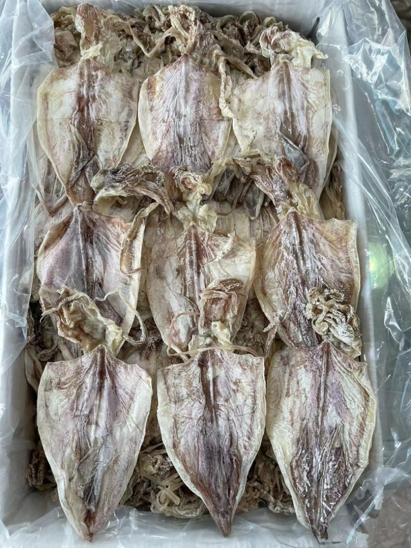 芥末鱿鱼A3A4，精选淡干，酒吧KTV精品酒店专用