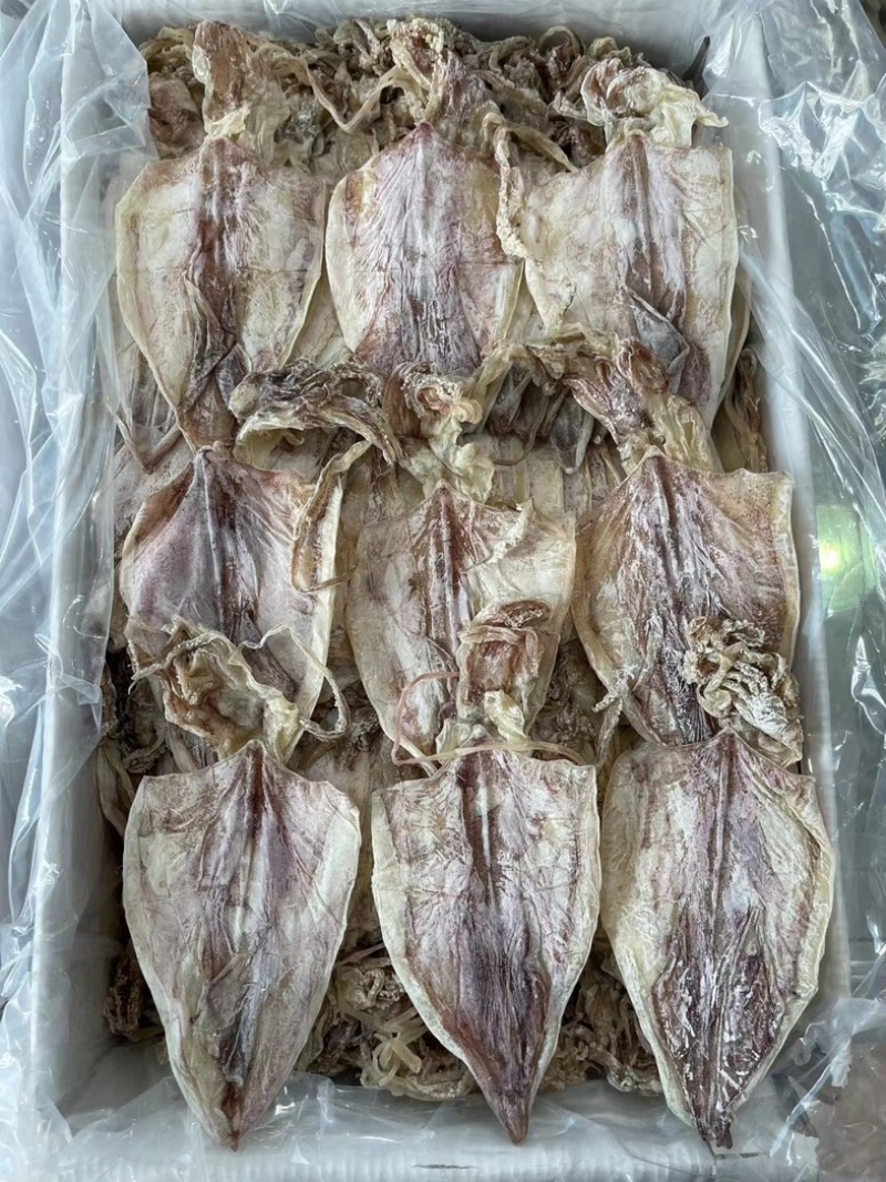 芥末鱿鱼A3A4，精选淡干，酒吧KTV精品酒店专用