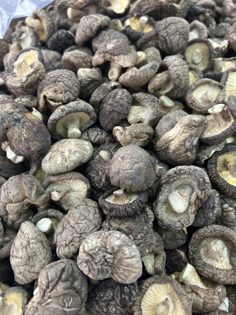 贵州精选优质香菇