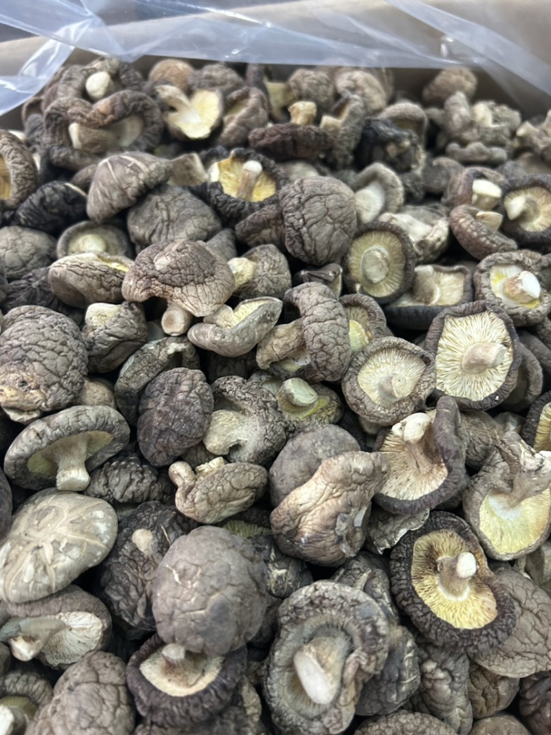 贵州精选优质香菇