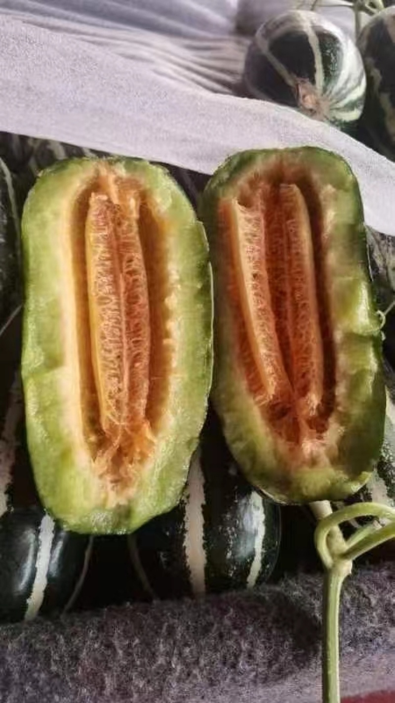 博洋九号大量上市，质量好价格便宜，对接电商超市批发市场