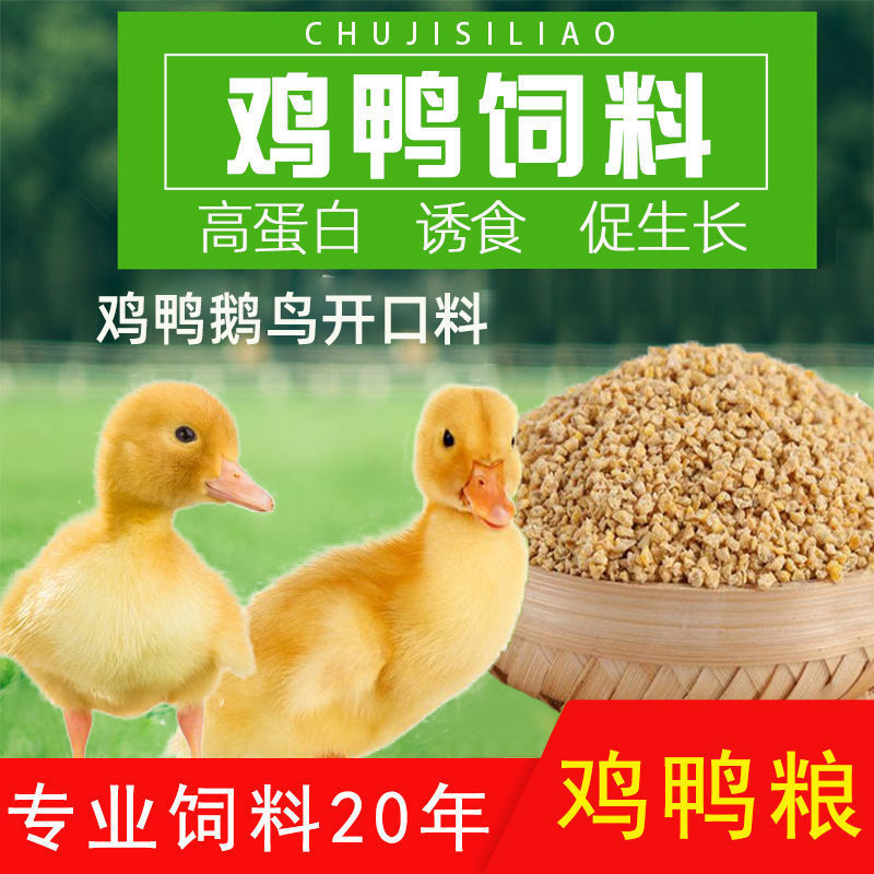 湖南小鸡全价配合饲料长肉快体质好厂家批发80斤（破碎料）