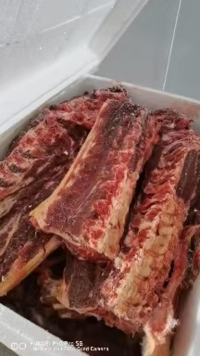 驴脊骨
