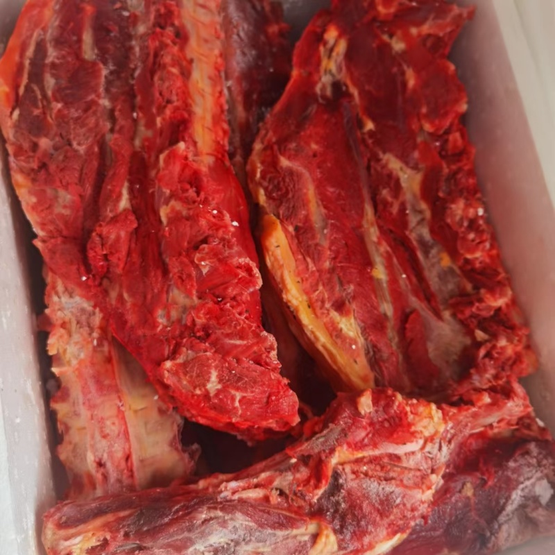 驴脊骨