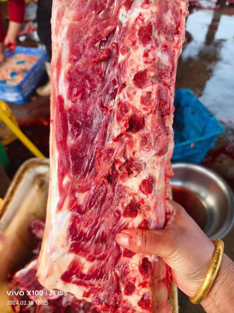 驴脊骨