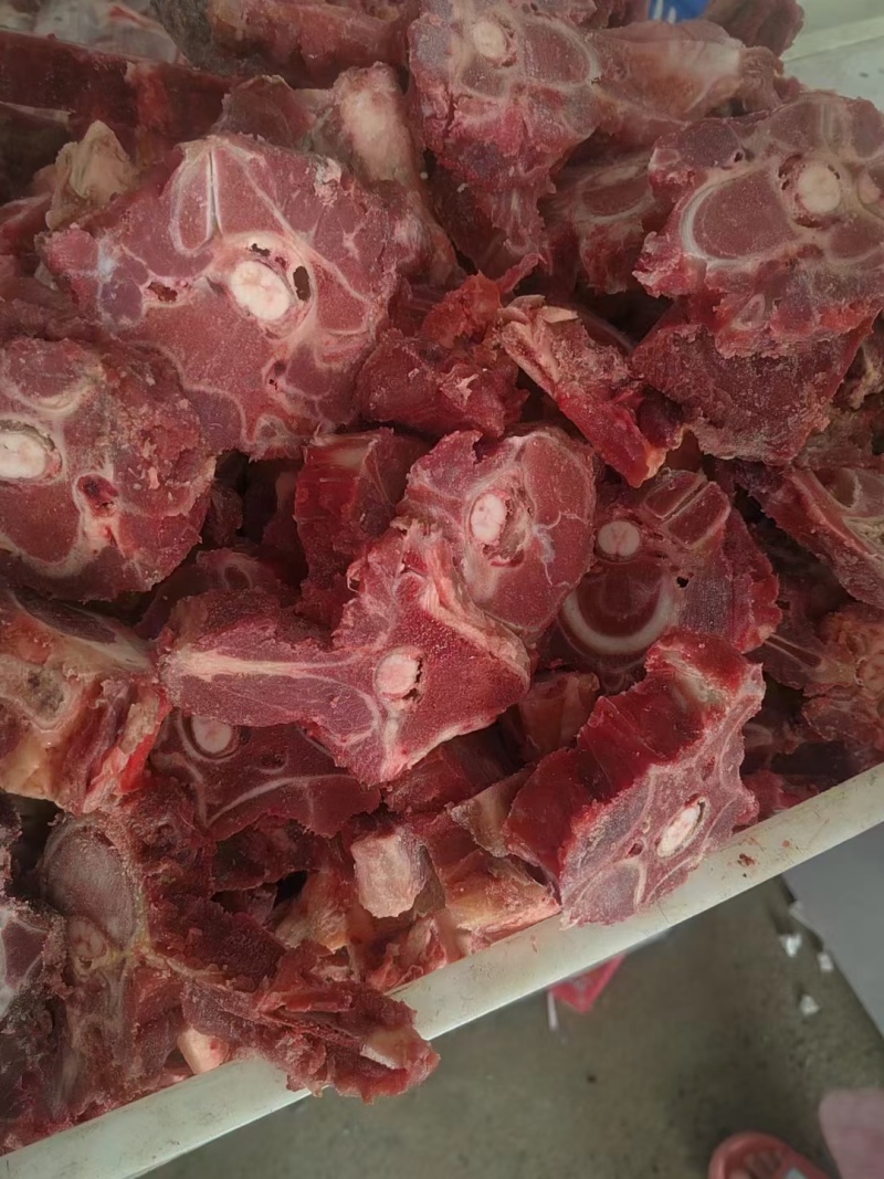 驴脊骨
