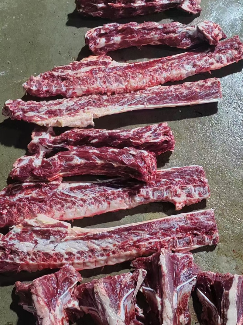 驴脊骨