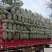 黑米壳稻壳谷壳河南新乡发货大米厂装车除尘稻壳袋装上车