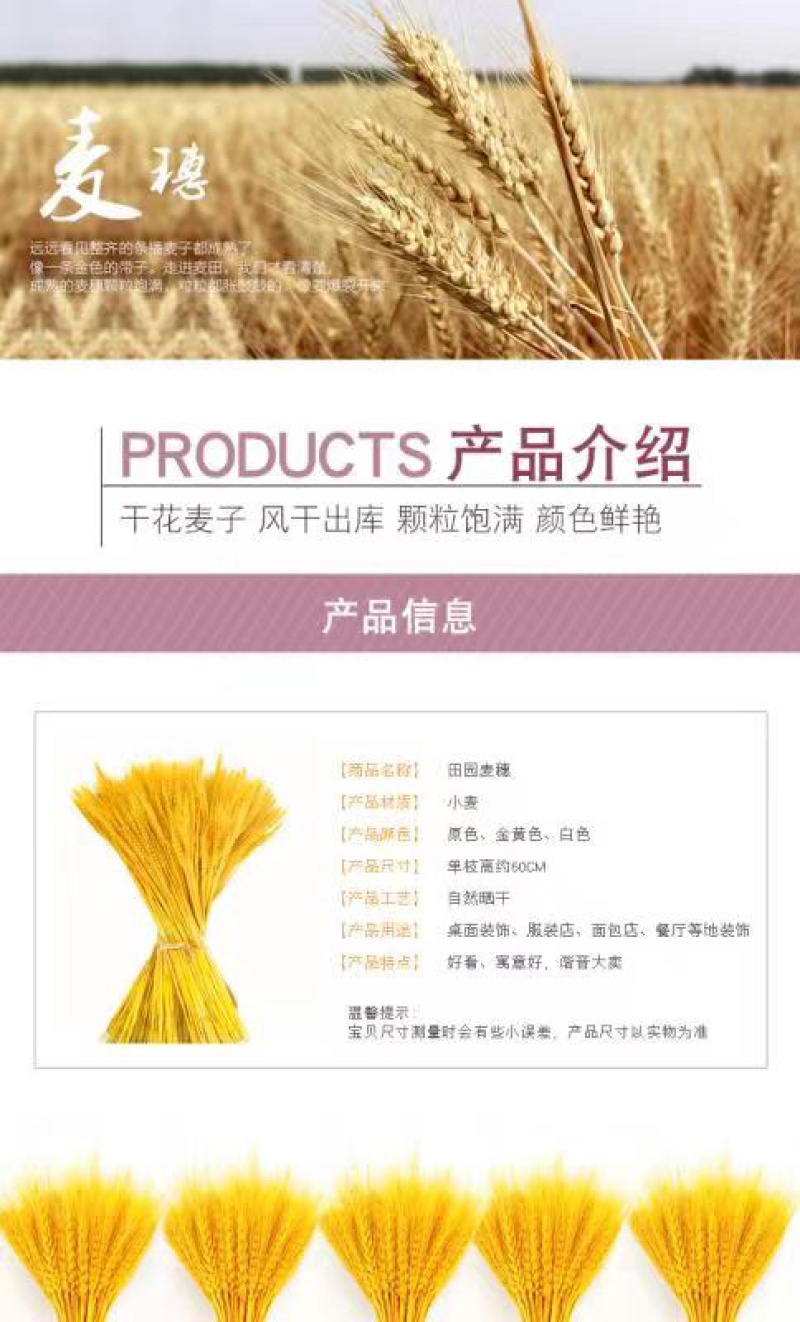 麦穗干花厂家开业花篮大麦花束真大麦原色麦穗
