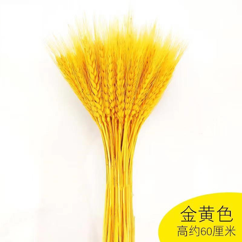 麦穗干花厂家开业花篮大麦花束真大麦原色麦穗