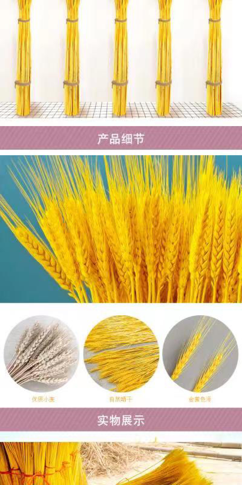 麦穗干花厂家开业花篮大麦花束真大麦原色麦穗