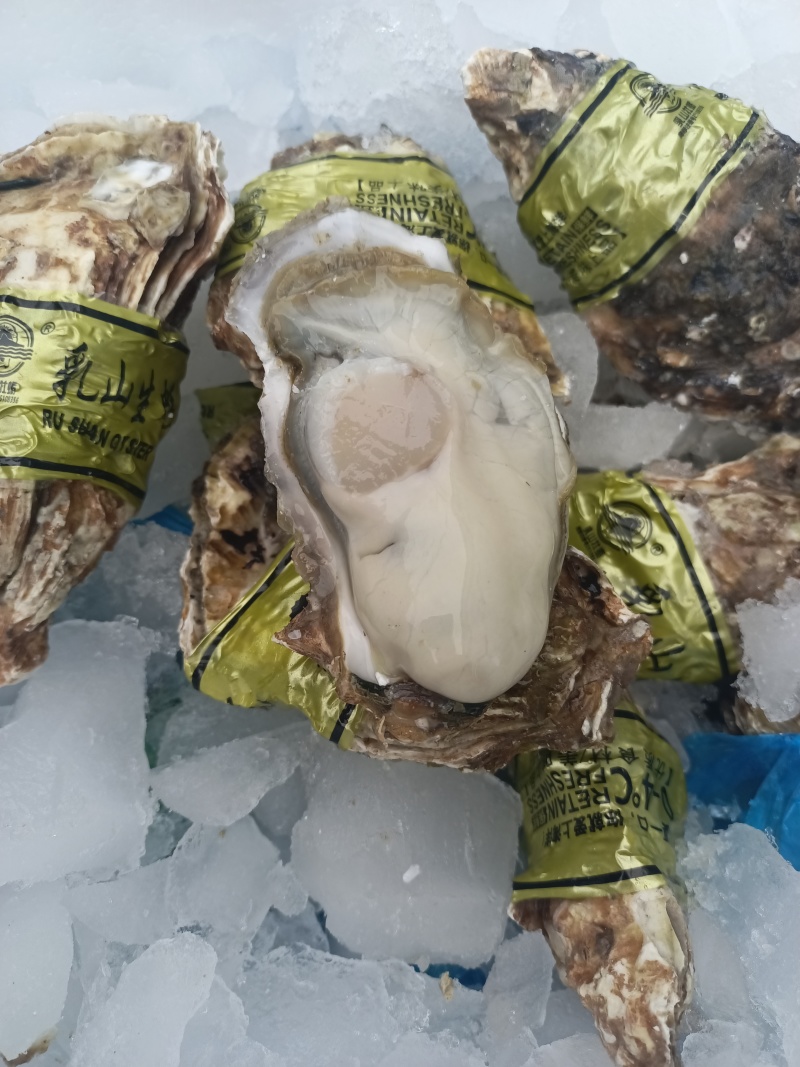 乳山生蚝全规格，产地直发，全国发货