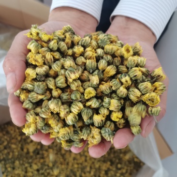 新鲜农产品：优质水泥，保质保量，用途广泛，欢迎选购！