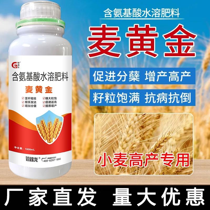 麦黄金叶面肥小麦增产增收专用肥籽粒饱满壮苗抗倒分蘖水
