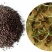 牧草绿肥种籽孑田箐种子果园土壤改善碱菁涝豆耐涝耐旱耐盐碱