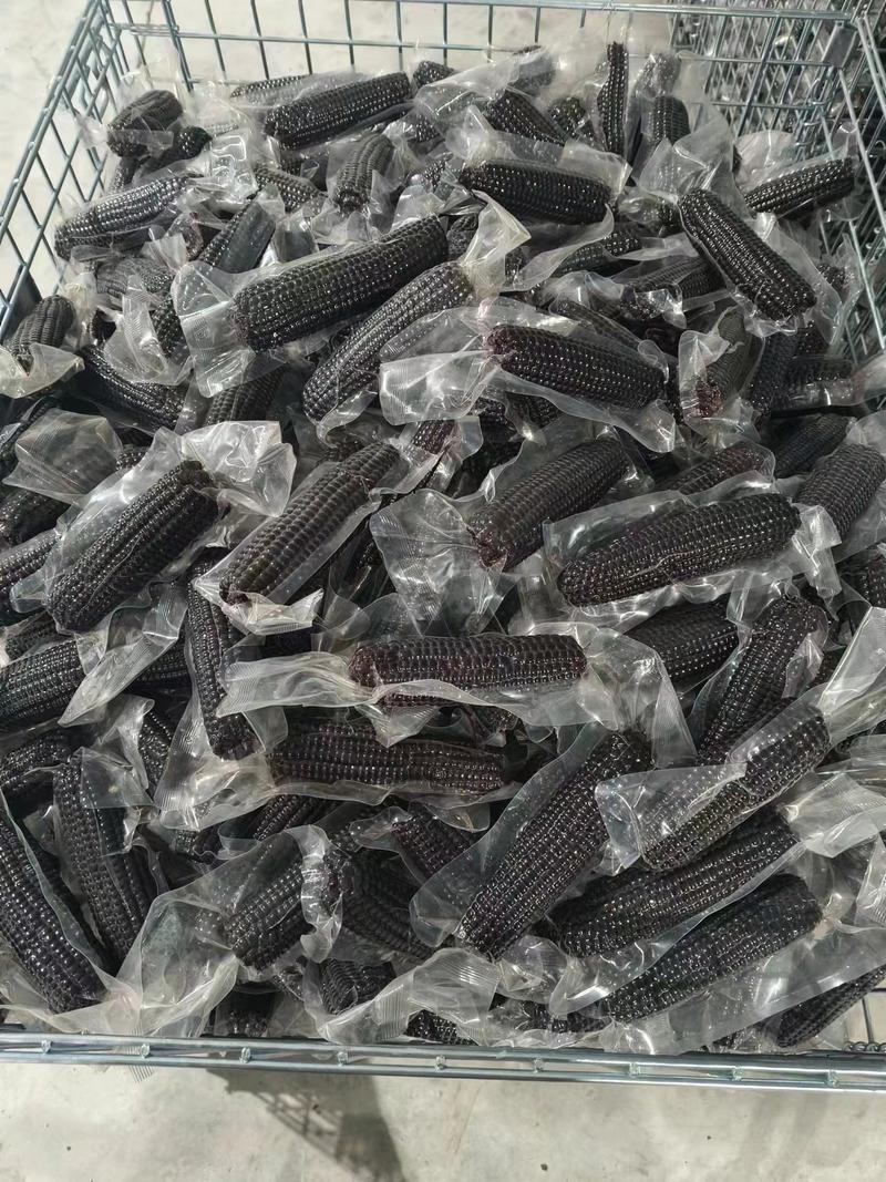 全国发货【黑玉米】口感甘甜来电优惠商超品质欢迎咨询