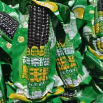山东滨州真空包装【黑玉米】对接电商市场商超等各类客户