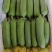 油皮丝瓜