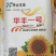 包邮，三系杂交向日葵种子大量供应，厂家直发，量大从优