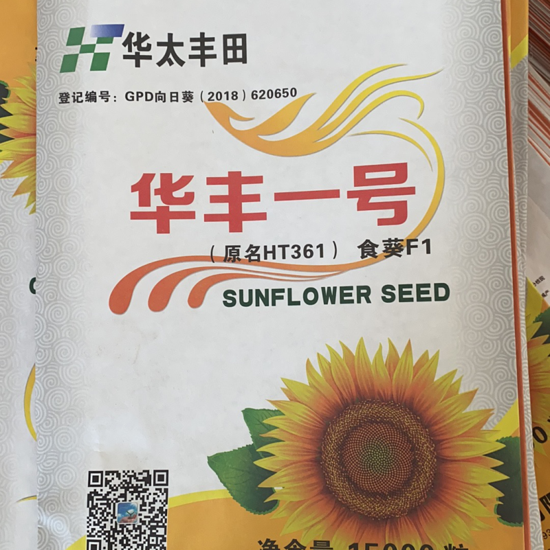 包邮，三系杂交向日葵种子大量供应，厂家直发，量大从优