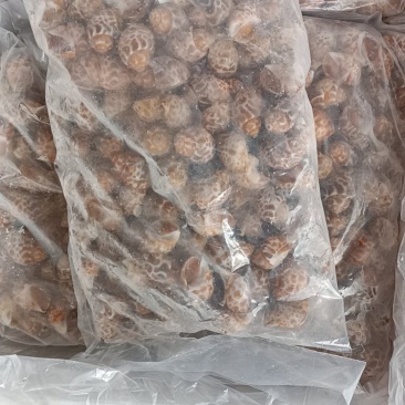 精品香螺