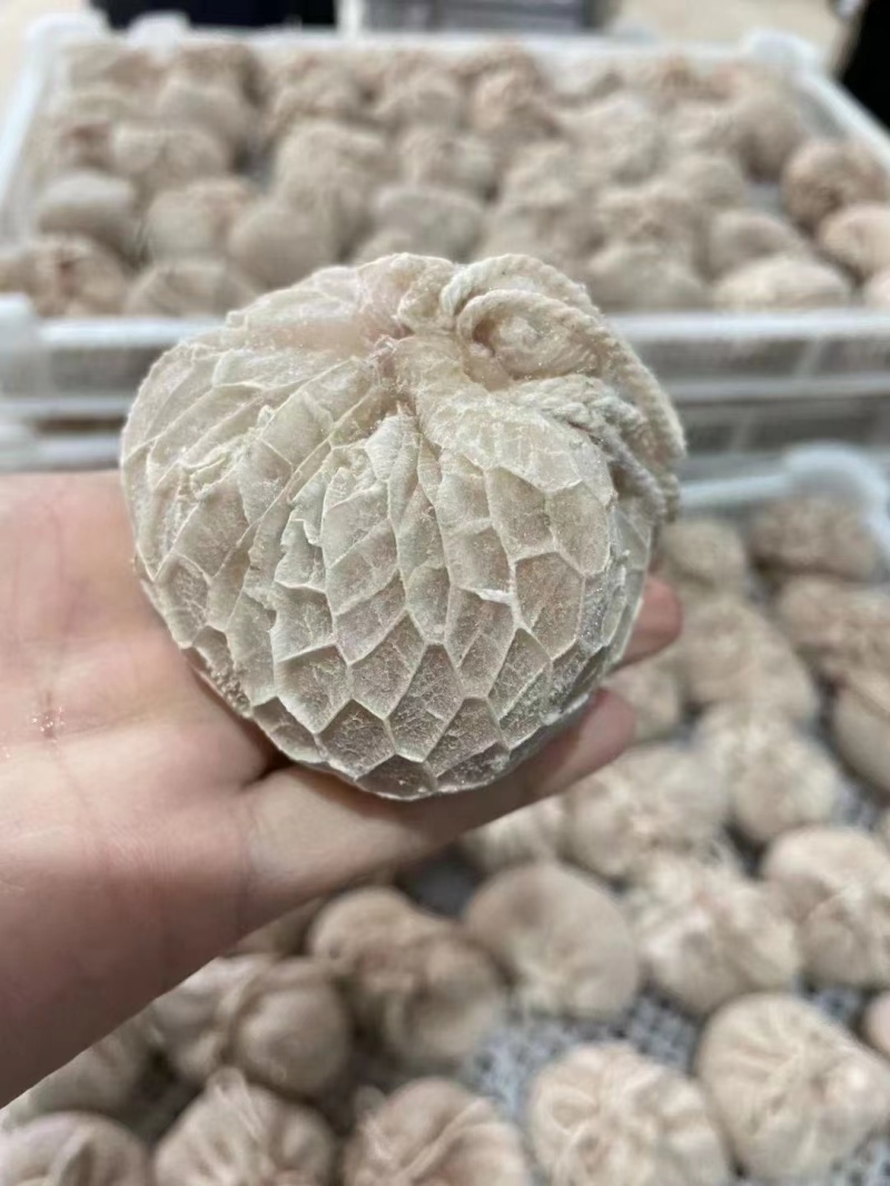 肚包肉，一斤称4个均匀，质量看得见，纯手工切块实拍。