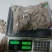 （正宗）云南小草坝天麻质量好品质优，欢迎各位田友洽谈