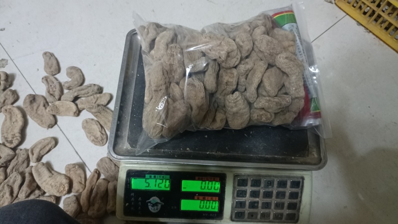 （正宗）云南小草坝天麻质量好品质优，欢迎各位田友洽谈