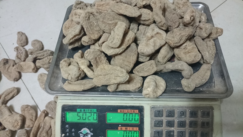 （正宗）云南小草坝天麻质量好品质优，欢迎各位田友洽谈