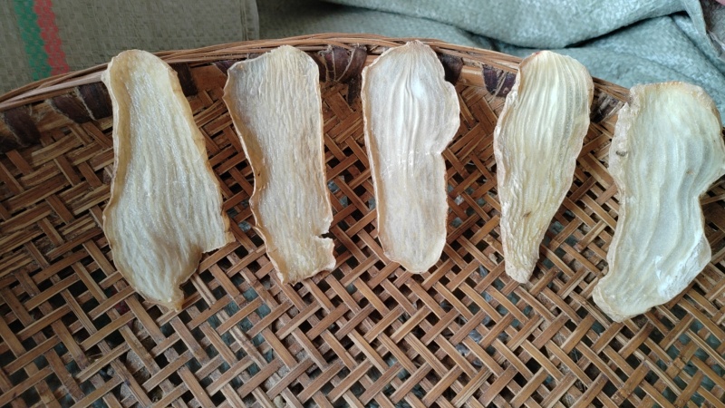 干天麻，天麻片，无硫片药店商超展销会火爆热销产品产地直发