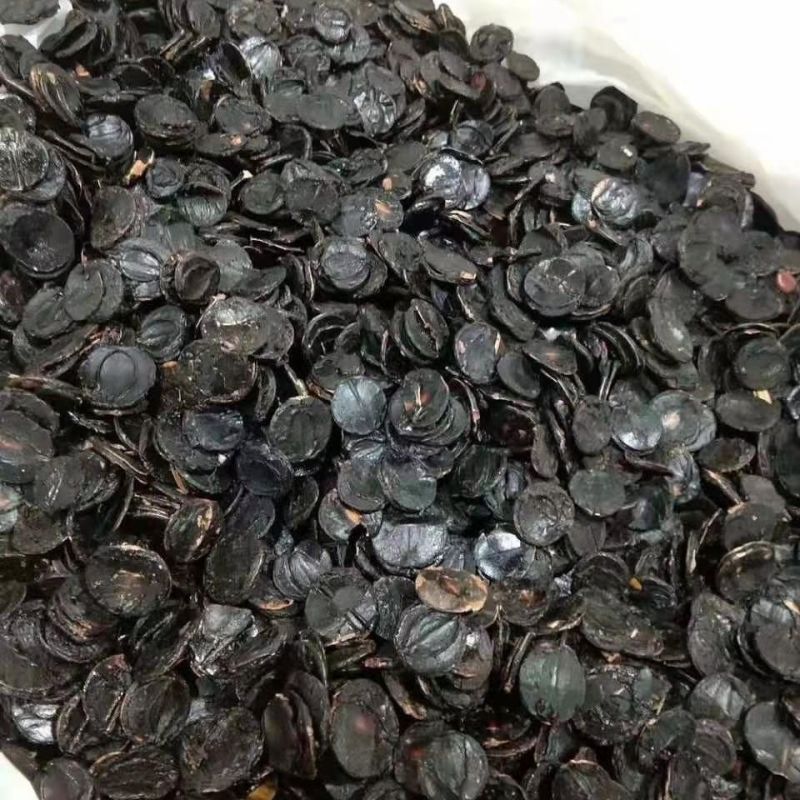 便秘果便秘果肉大解腊肠果片便秘果纯果肉长期供应批发