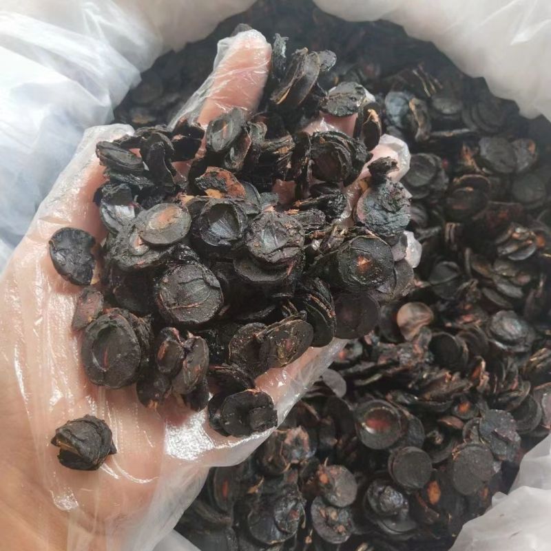 便秘果便秘果肉大解腊肠果片便秘果纯果肉长期供应批发