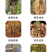 鑫星20%噻唑膦黄瓜专用根结线虫剂专用药蔬菜冲施滴灌根药