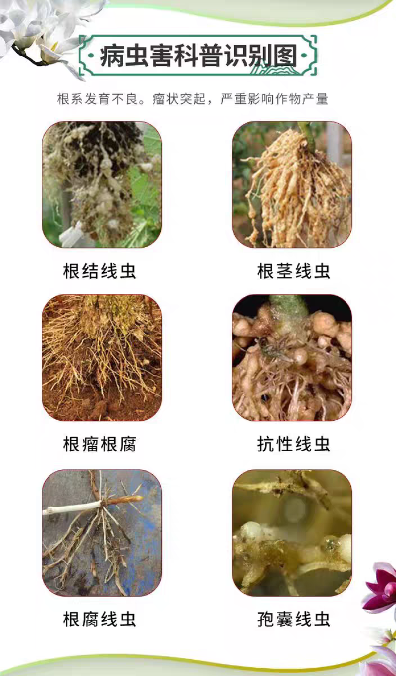 鑫星20%噻唑膦黄瓜专用根结线虫剂专用药蔬菜冲施滴灌根药