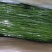 海带丝海带扣，海带结，火锅凉拌
