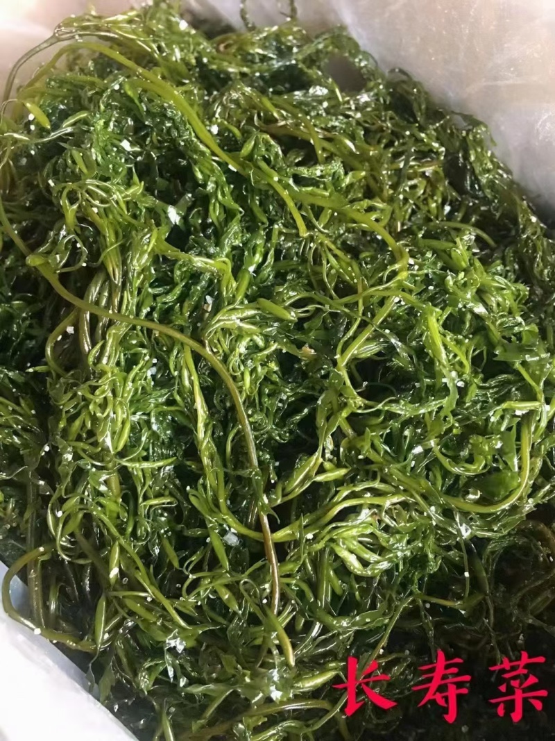 海带丝海带扣，海带结，火锅凉拌