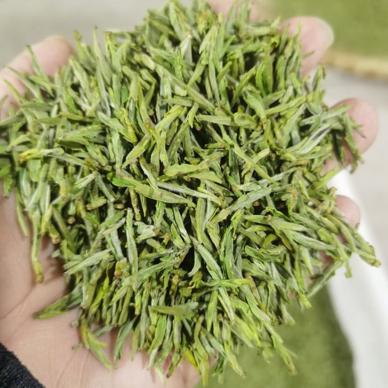 黄山毛峰黄山雀舌头采
