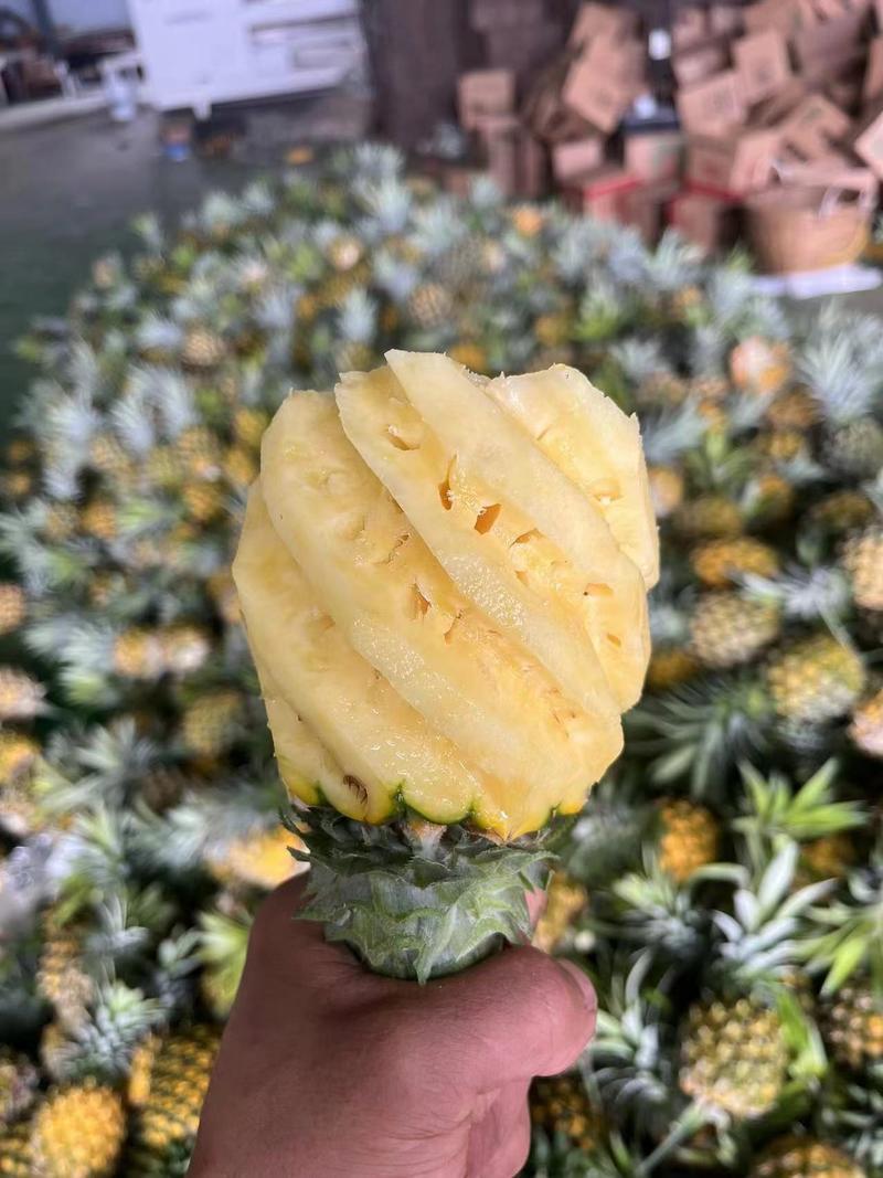 一件代发香水菠萝