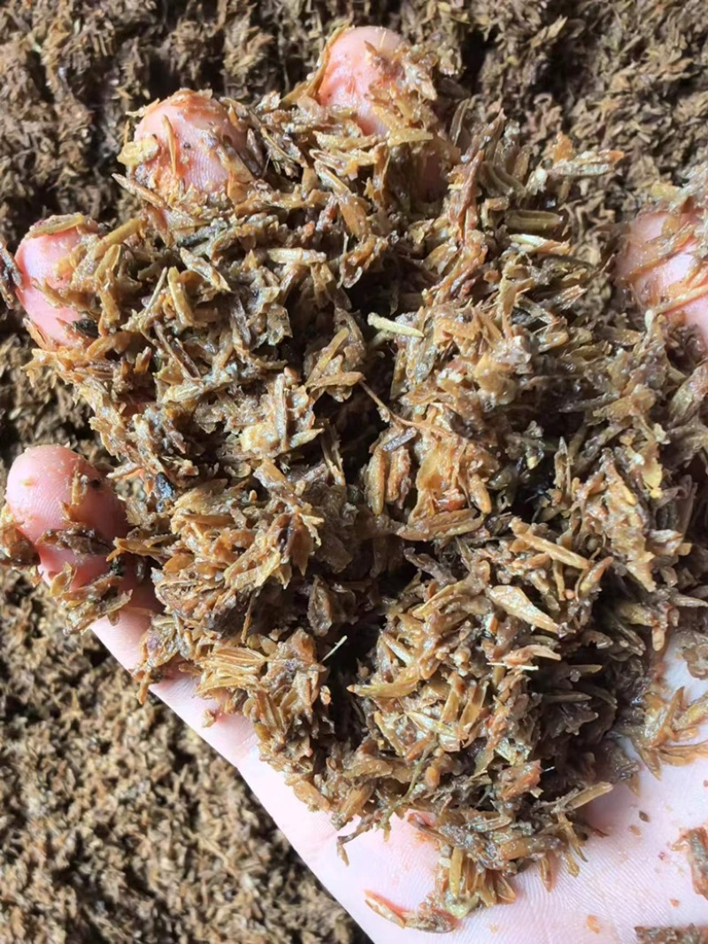 五粮曲酒糟160饲料原料酒糟高蛋白牛羊饲料大量