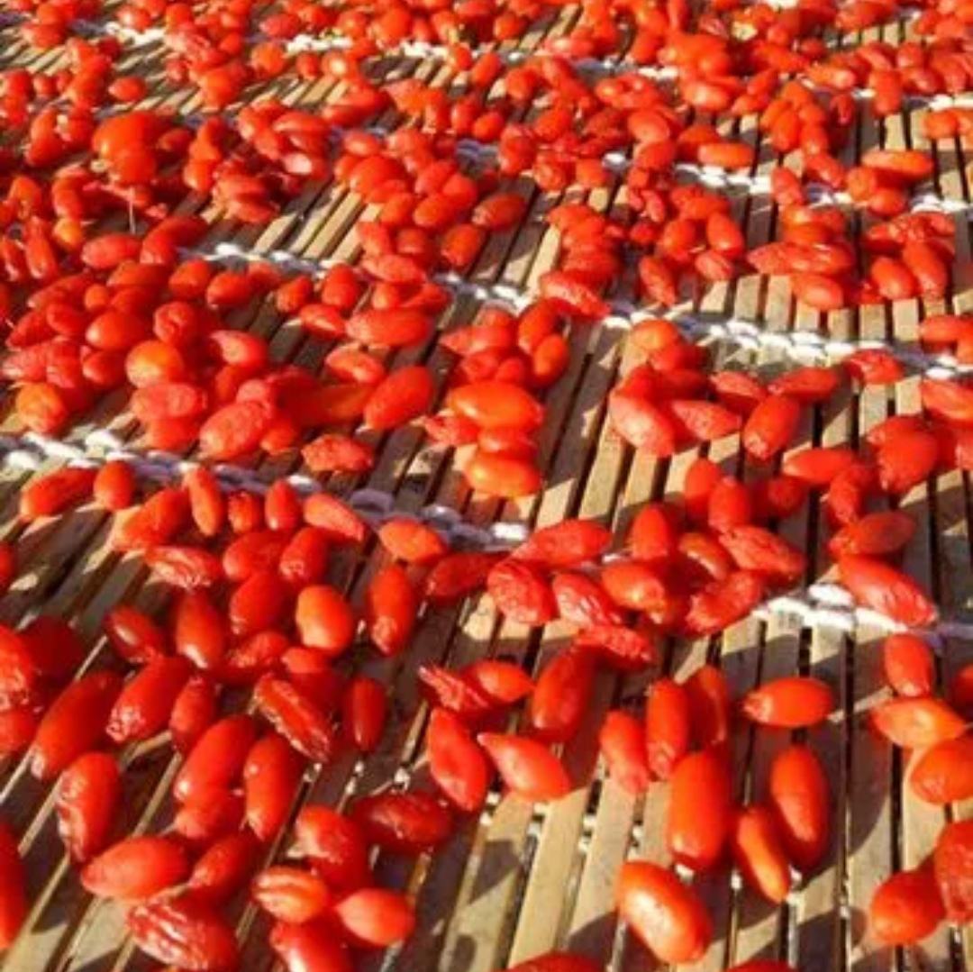 红色干制枸杞颗粒饱满,铺放在竹篮中,背景为自然光线下 枸杞干果图