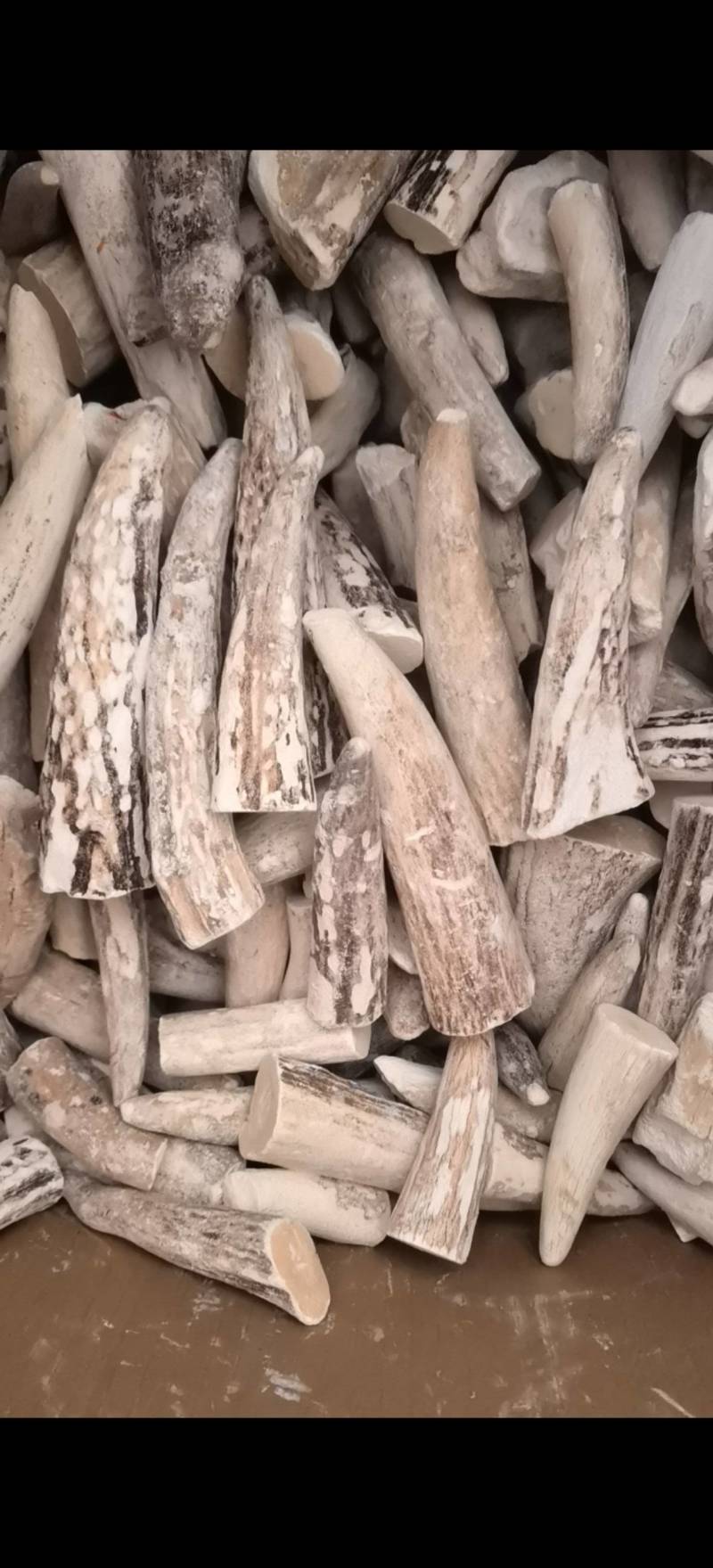 鹿角霜尖选货关书药业批发零售各种规格中药材