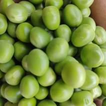 豌豆米，甜豌豆米，长寿仁豌豆米