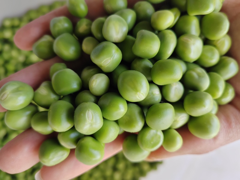 豌豆米，甜豌豆米，长寿仁豌豆米