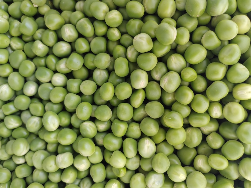 豌豆米，甜豌豆米，长寿仁豌豆米