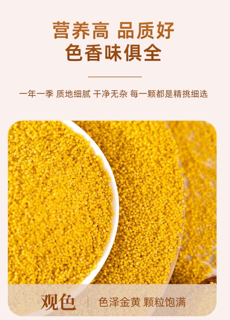 内蒙古赤峰市敖汉小米厂家批发2023新米熬小米粥