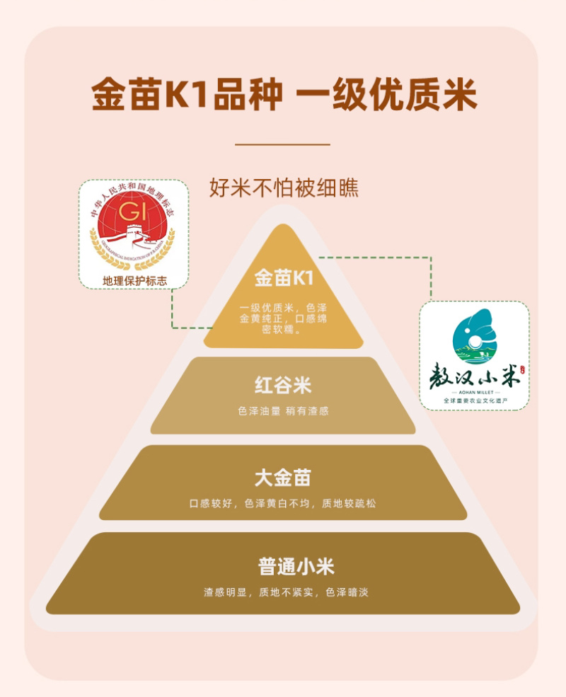 内蒙赤峰敖汉金苗k1小米大量批发保证质量小米粥月子米