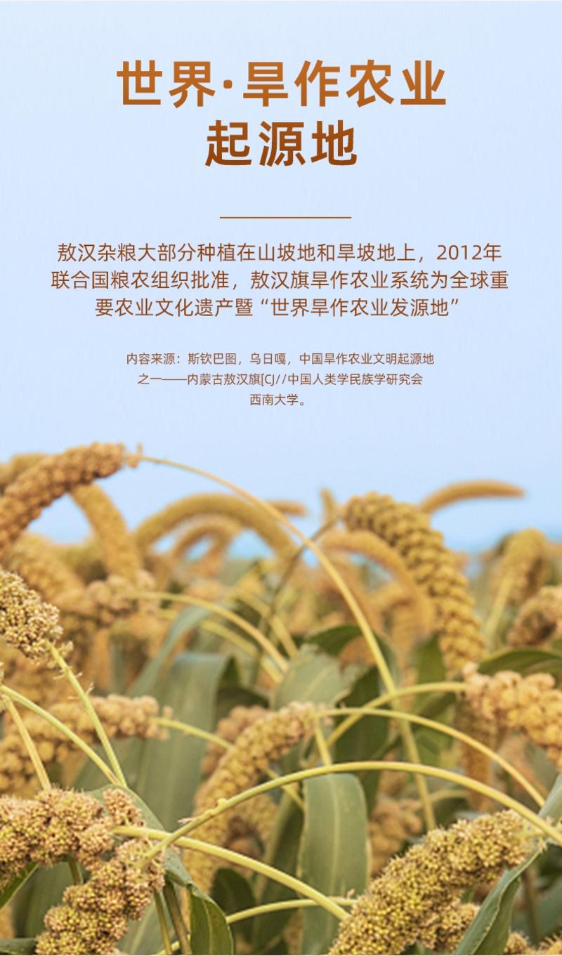 内蒙赤峰敖汉金苗k1小米大量批发保证质量小米粥月子米